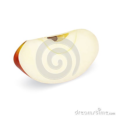 Apple lobule Vector Illustration