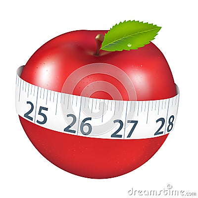 Apple With Measurement Vector Illustration