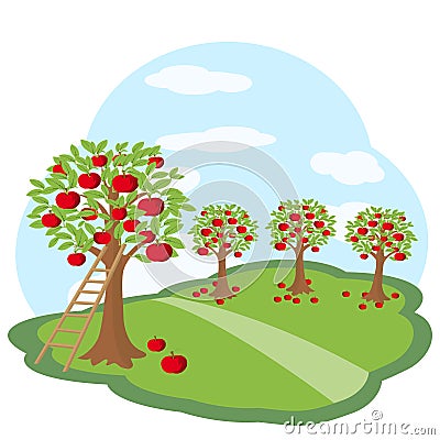 Apple orchard with harvest on green meadow Vector Illustration