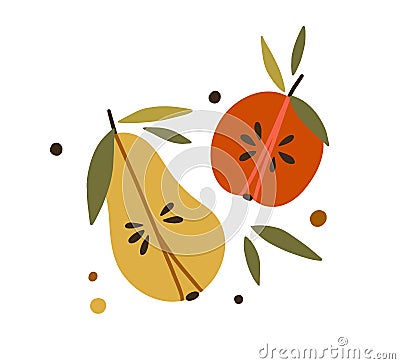 Apple and pear halves with leaf. Composition of fruit sections with flesh, seeds, stems, and leaves. Colored flat vector Vector Illustration