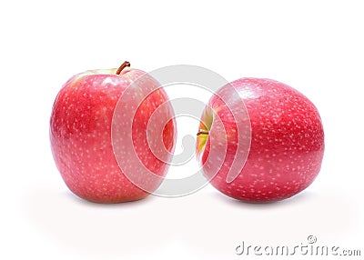 Apple Pink Lady Stock Photo