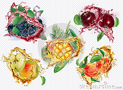 Apple, Plum, Peach, Blueberry, Mango in splashes of juice Vector Illustration