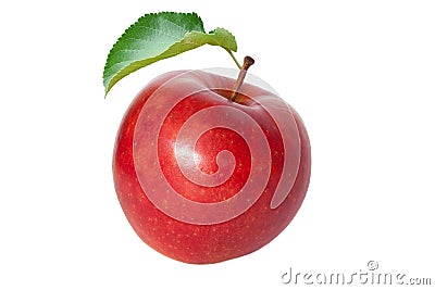 Apple Stock Photo