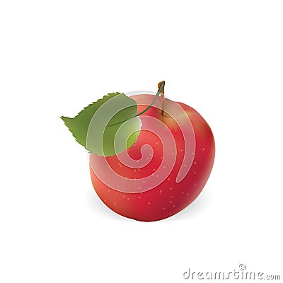 An apple is red with a leaf. apple Vector Illustration