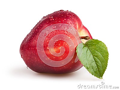 Apple red leaf drops Stock Photo