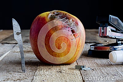 Apple with stapler Stock Photo