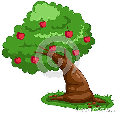 Apple tree Vector Illustration