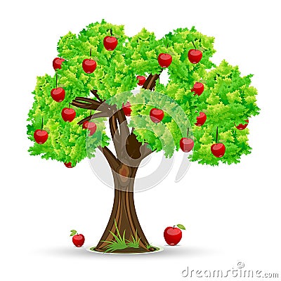 Apple tree Vector Illustration