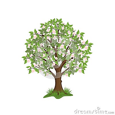 Apple tree Vector Illustration