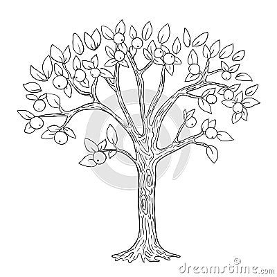 Apple tree coloring page. Vector black and white Vector Illustration