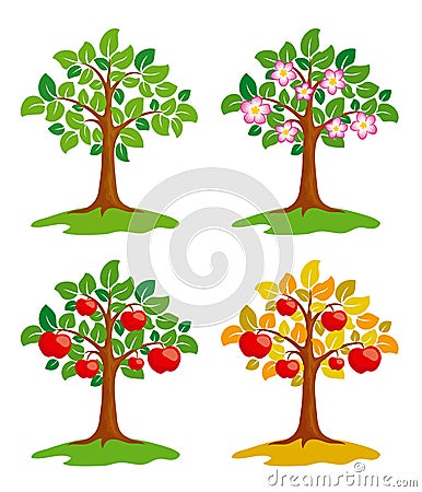 Apple-tree at different seasons Vector Illustration