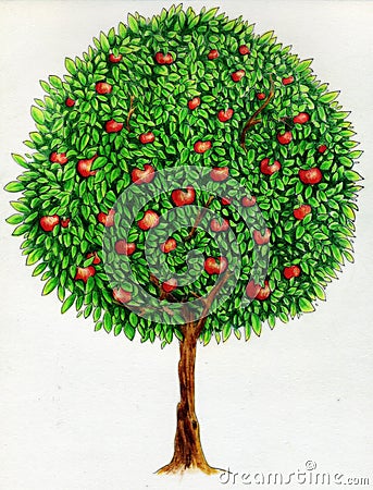 Apple tree drawing Stock Photo