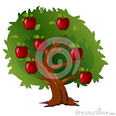 Apple tree with fruits and green leaves Vector Illustration