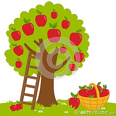 Apple tree and basket with apples. Vector illustration Vector Illustration