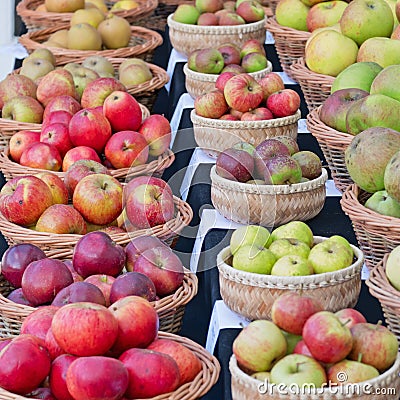 Apple varieties on display UK Stock Photo