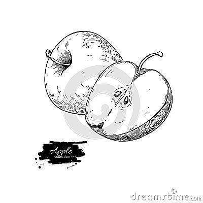 Apple vector drawing. Hand drawn fruit and sliced pieces. Summer Vector Illustration