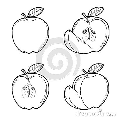 Apple Vector Illustration