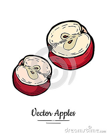 Apple vector isolated. Red fruit hand drawn illustration. Trendy food vegetarian menu fruit logo, icon. Half cut apple Vector Illustration