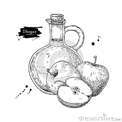 Apple vinegar vector drawing. Hand drawn illustration. Glass bo Vector Illustration