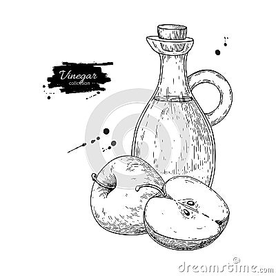 Apple vinegar vector drawing. Hand drawn illustration. Glass bo Vector Illustration