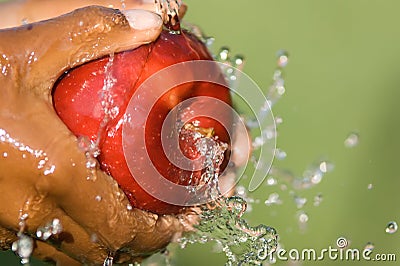 Apple Washing Stock Photo