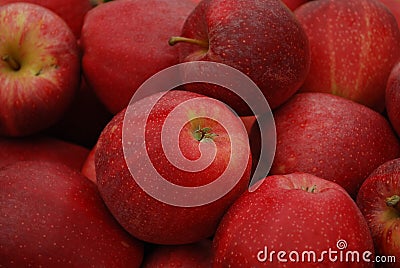 Apples Stock Photo