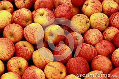 Apples Stock Photo