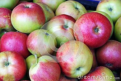 Apples Stock Photo