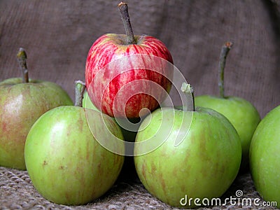 Apples Stock Photo