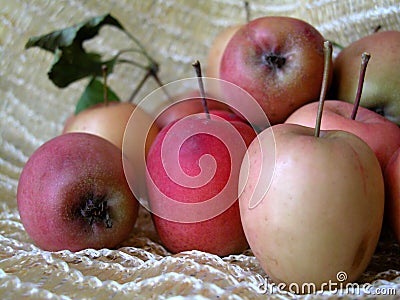 Apples Stock Photo