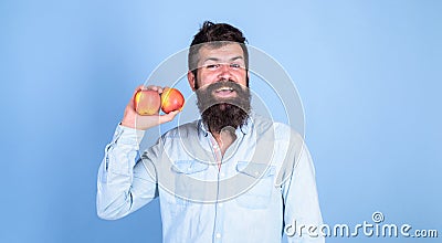 Apples antioxidant compounds responsible health benefits. Nutritional choice. Apples popular type fruit in world. Man Stock Photo