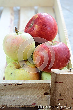 Apples in a box Stock Photo