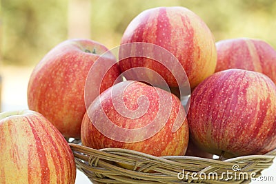 Apples- colorful apples Stock Photo