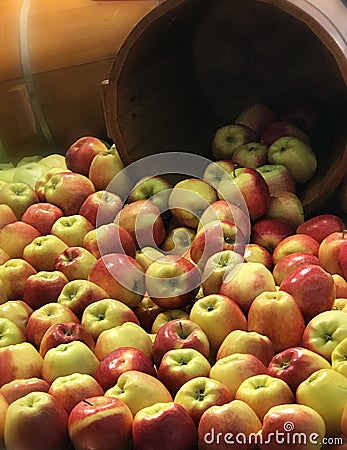 Apples falling out of a busket Stock Photo