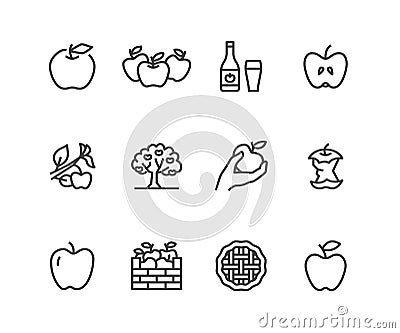 Apples flat line icons. Apple picking, autumn harvest festival, craft fruit cider illustrations. Thin signs for organic Vector Illustration