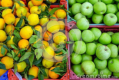 Apples and Oranges Comparison Stock Photo