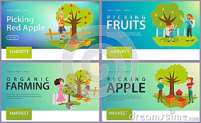 Apples pears plums picking flat set Vector Illustration