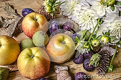 Apples,prunes,figs and walnuts with white dahlias Stock Photo