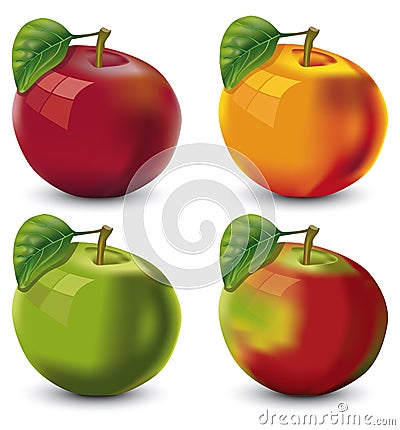 Apples Vector Illustration