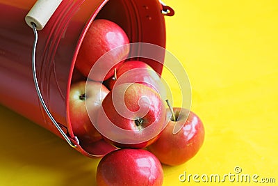 Apples are ripe red. Harvest apples in a red bucket on a yellow background. Stock Photo