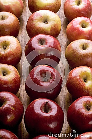 Apples in rows Stock Photo