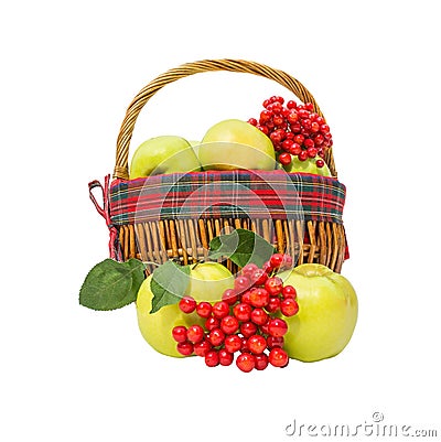 Apples and viburnum in basket Stock Photo