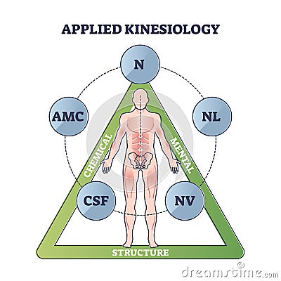 Applied kinesiology as technique for diagnose and treatment outline diagram Vector Illustration