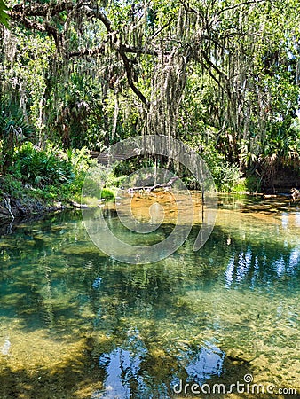 Gemini Springs in Volusia County, Florida Stock Photo