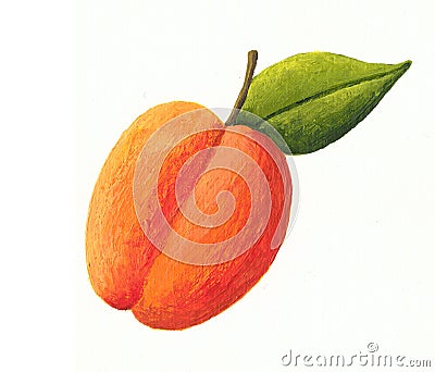 Apricot Cartoon Illustration