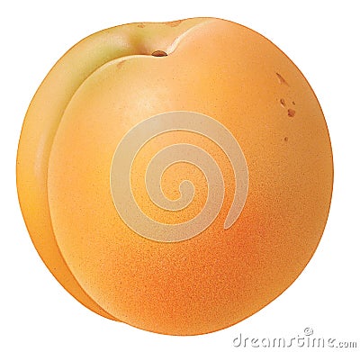 Apricot Cartoon Illustration