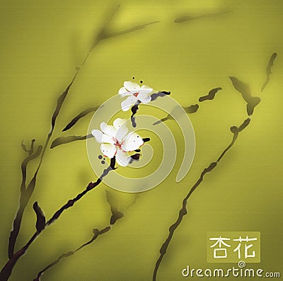 Apricot blossom watercolor Stock Photo