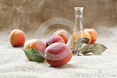 Apricot brandy or schnapps and tasty apricot fruit. Stock Photo