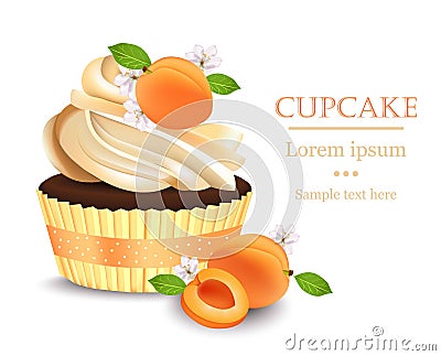 Apricot Cupcake isolated on a white background. Vector realistic dessert. Summer delicious treat Vector Illustration