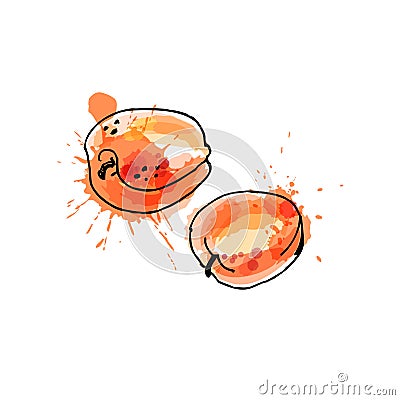 Apricot, drawing by watercolor and ink with paint splashes on wh Cartoon Illustration